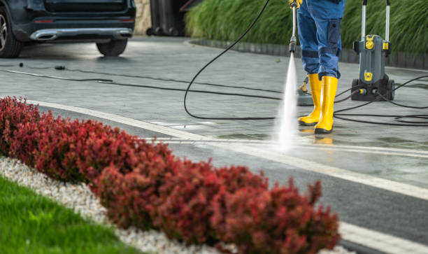 Best Driveway Pressure Washing  in Toledo, OH